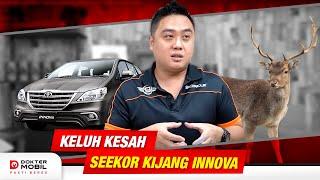 Tips Memelihara Seekor Toyota Kijang Innova - DOMO Indonesia