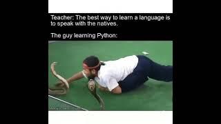 python programming meme | programming meme