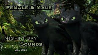 Female & Male Night Fury Sounds