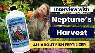 Understanding fish fertilizer | Interview with Neptune's Harvest