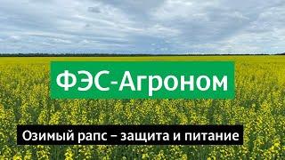 Озимый рапс - защита и питание