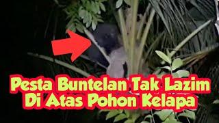 Malam Jumat Kliwon Keluar Semua Penampakan Dan Suara Mengerikan