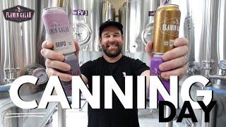 Beer Canning Day At Flamin Galah Brewing Co