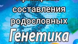 Принципы составления родословных. Как сделать анализ родословной.