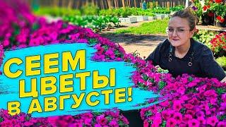 КАКИЕ ЦВЕТЫ СЕЯТЬ В АВГУСТЕ? ГОТОВИМ ГРУНТ ДЛЯ РАССАДЫ САМИ ДЕШЕВО и ЭКОНОМНО