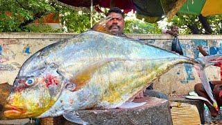 KASIMEDU  SPEED SELVAM | 17 KG GIANTS TREVALLY FISH CUTTING VIDEO | IN KASIMEDU | FF CUTTING 