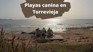 Playa Canina del Rocio - Torrevieja