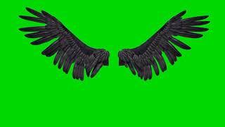 ANGLE AND DEMON WINGS! GREEN SCREEN OVERLAY WITH SOUNDS ..