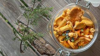 Chef Sami Tallberg's Pickled Chanterelles with Wild Juniper