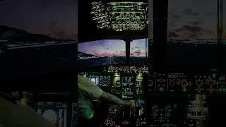 DIY A320 Home Cockpit   Landing at Hongkong Runway 25L