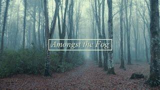 Amongst the Fog | Cinematic BMPCC Footage