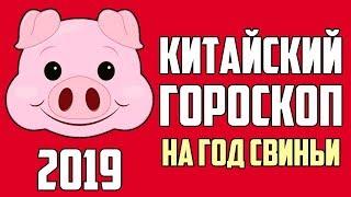 КИТАЙСКИЙ ГОРОСКОП НА ГОД СВИНЬИ 2019