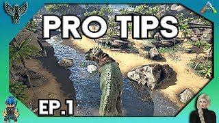 2018 ARK PRO TIPS YOU MAY NOT KNOW ABOUT # 1 [ARK SURVIVAL EVOLVED]