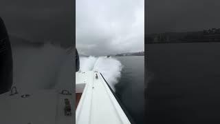 WTF is A Fjordling? video Sander Kristoffersen #v8 #lsswap #fjordling #speedboat #speed #powerboat