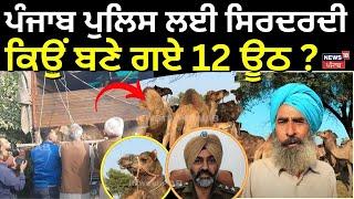 Police ਲਈ ਸਿਰਦਰਦੀ ਬਣੇ 12 ਊਠ | Bathinda Camel News | Today Punjabi News | N18V