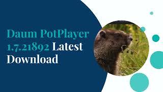 Daum PotPlayer 1.7.21892 Latest Download