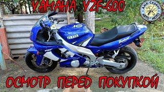 Oсмотр перед покупкой  Yamaha YZF600 Thundercat