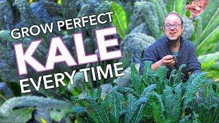 Grow Perfect Kale Every Time!
