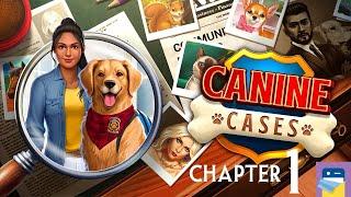 Adventure Escape Mysteries - Canine Cases: Chapter 1 Walkthrough Guide & iOS Gameplay (Haiku Games)