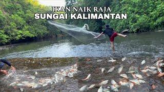 MENDIDIH‼️KAWANAN IKAN KENA JALA, INI BARU RUMAHNYA IKAN 