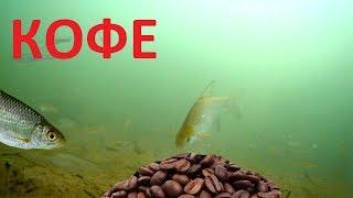 Реакция рыбы на КОФЕ! Вот это открытие! Подводная съемка