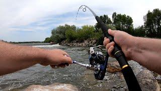 Catfish spinning - the river Loire