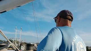 Palmetto Breeze Sunset/Dolphin Cruise Part 1