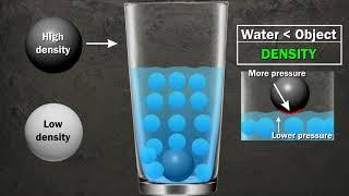 Science behind Buoyancy | Buoyant Force | Why does wood float and a metal sink in water?