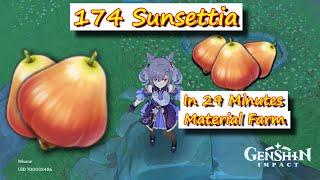 174 Sunsettia in 29 Minutes Liyue Region | Genshin Impact Material Farm