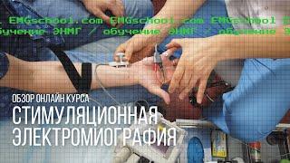 Обзор онлайн курса по стимуляционной ЭНМГ Школы Электромиографии EMGschool