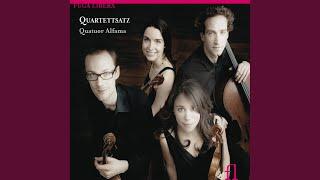 Quartettsatz in B-Flat Major