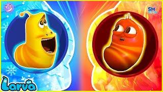 LARVA SEASON 2 EPISODE 91 ~ 192  NEST VERSION LARVA 2024 | MINI SERIES FROM ANIMATION LARVA