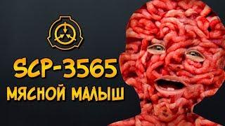 Scp-3565: Мясной Малыш (класс объекта: Евклид, категория: Аномальная еда)