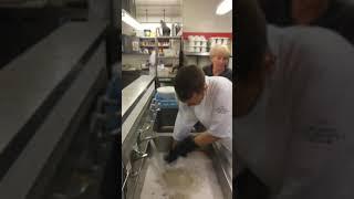 Kitchen Porter England UK