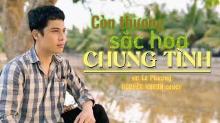 Còn Thương Sắc Hoa Chung Tình (cs-dv Quý Bình). Sáng tác: Lê Phương | Nguyễn Khanh cover