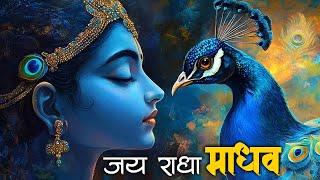 जय राधा माधव जय कुंज बिहारी | Jay Radha Madhav Jay Kunj Bihari | Krishna Songs | New Bhajan 2024