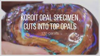 Koroit Opal Specimen Cuts into Top Opals | Opal Auctions