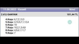 11 Ağustos 2022 TJK Kocaeli 2 nci altılı  at yarışı tahminleri altılı ganyan tahminleri