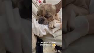 Не дождался прием и заснул