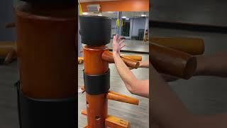 Wing Chun Dummy Slow Huen Sao Breakdown