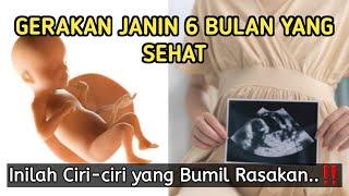 Ciri-ciri GERAKAN JANIN 6 BULAN yang Sehat | Bumil Wajib Tahu!