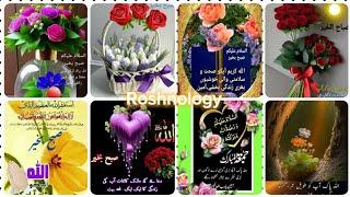 Good Morning WhatsApp Status |With Islamic Urdu Quote Beautiful prayers & Messages| |@roshnology3116