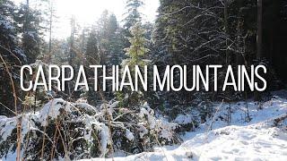  Mountains 4K, Nature, Meditation, Relax / Карпаты / Белый шум / Зимний лес ️