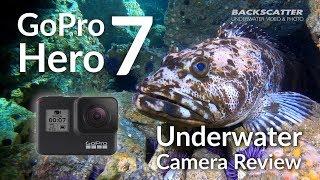 GoPro Hero 7 Underwater Camera Review