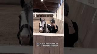 Für wen hast du dich entschieden? 🫶 #equestrian #pferde #shortvideo #shortsfeed #horse