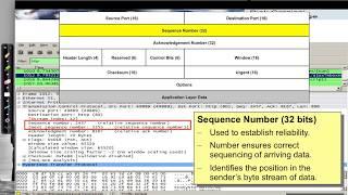 TCP and UDP: Headers (A quick look)