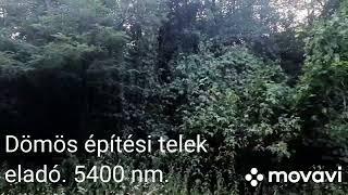 Dömösön 5500 négyzetméter épitési telek eladó