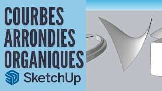 9 techniques pour créer des formes courbes, arrondies et organiques sur SketchUp
