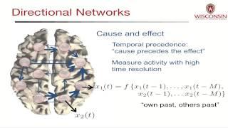 Modeling Electrical Brain Networks