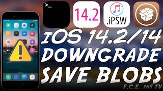 iOS 14.2 / 14 DOWNGRADE / Future JAILBREAK: How To Save SHSH2 Blobs With TSS Saver v2 & Check Them!